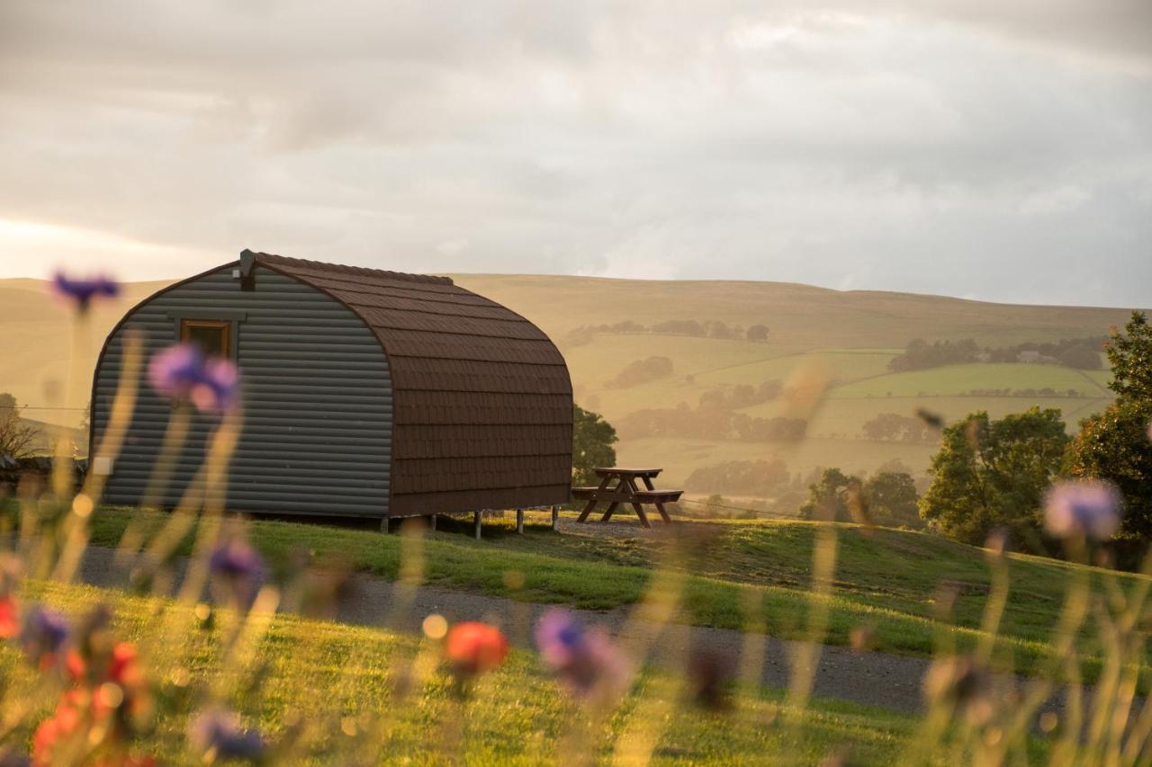 Luxury Glamping Pod