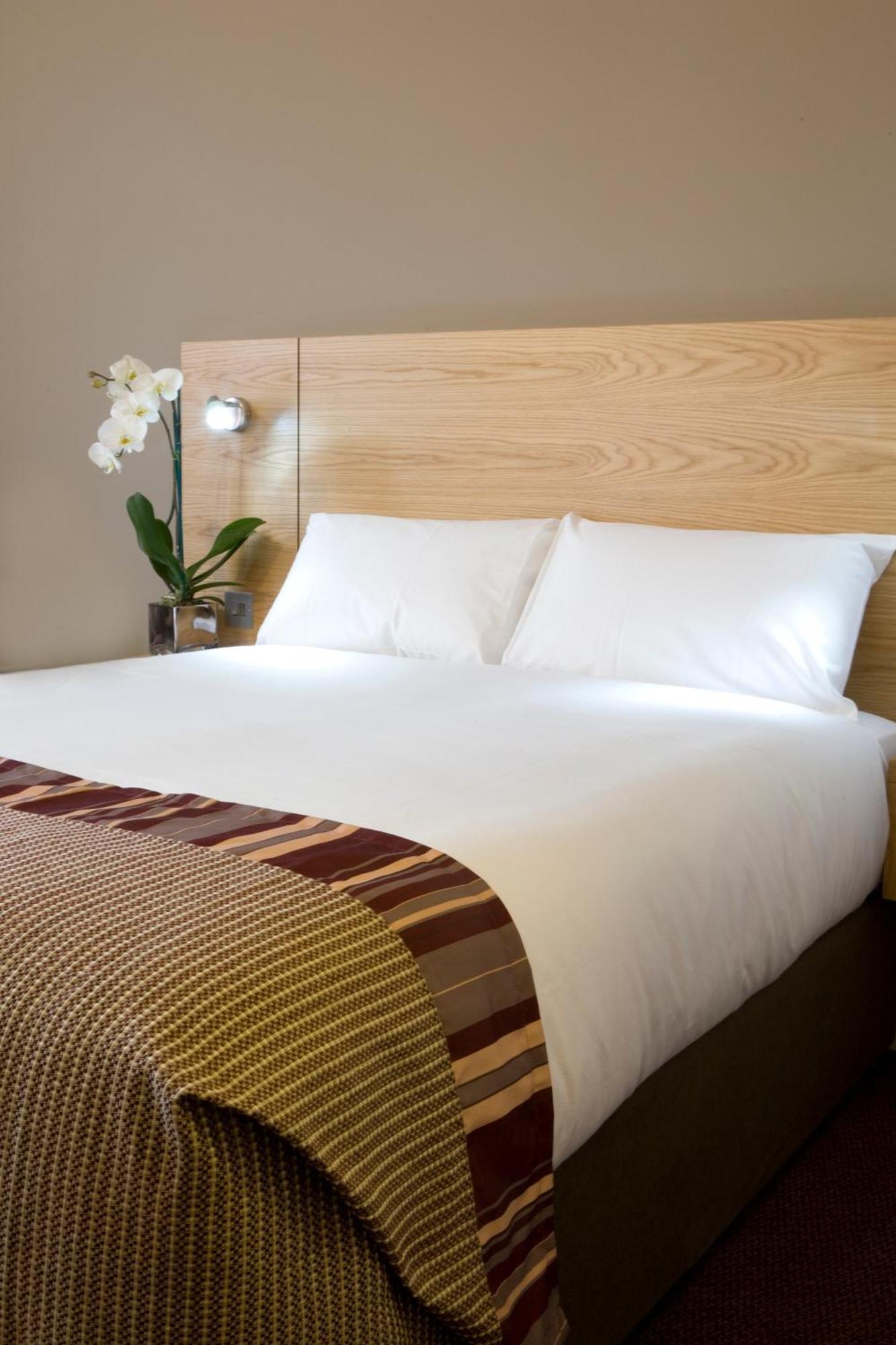 Standard Double Room Sofa Bed,1274095714:JPEG