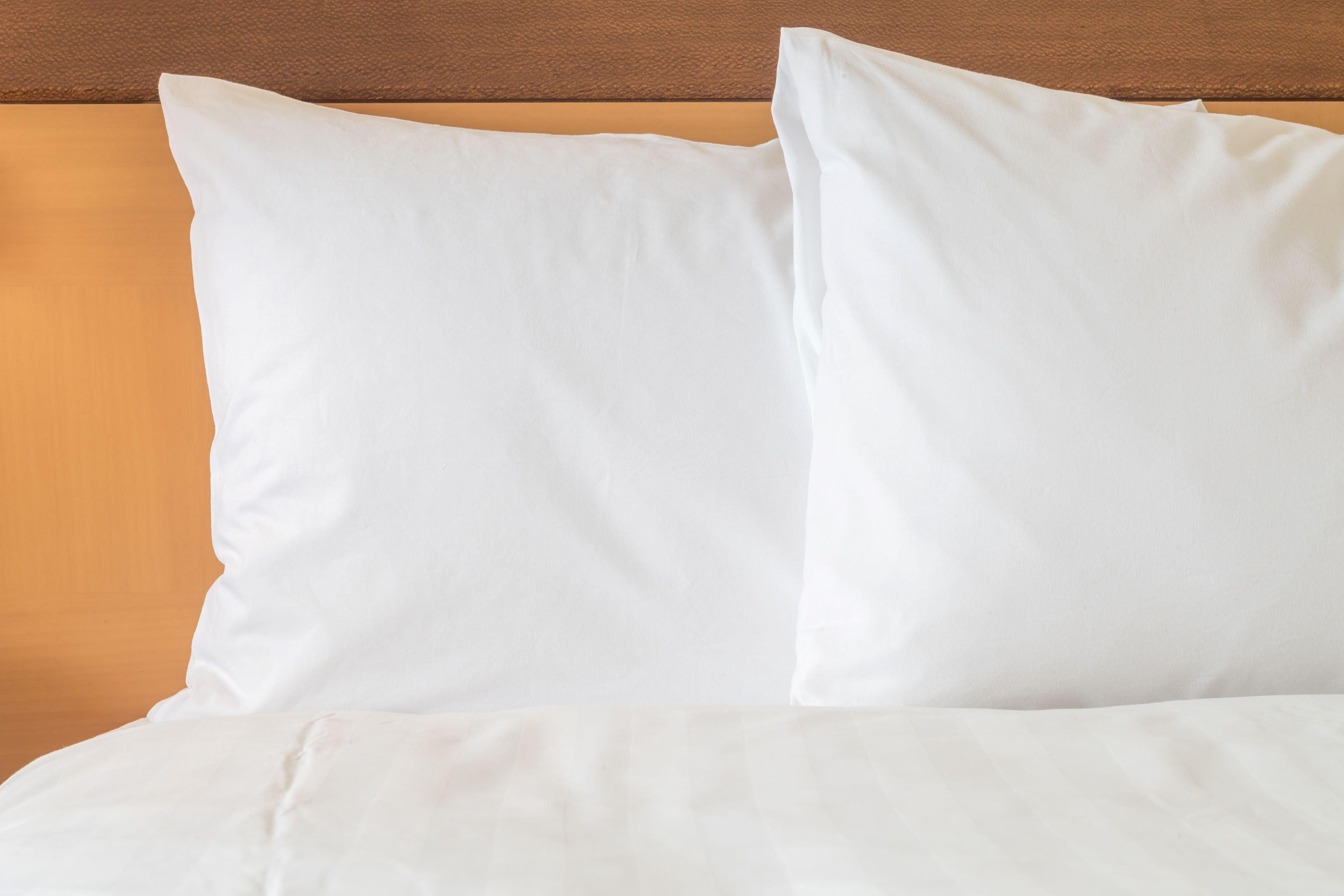 Standard Zweibettzimmer mit kostenlosem warmen Frühstück