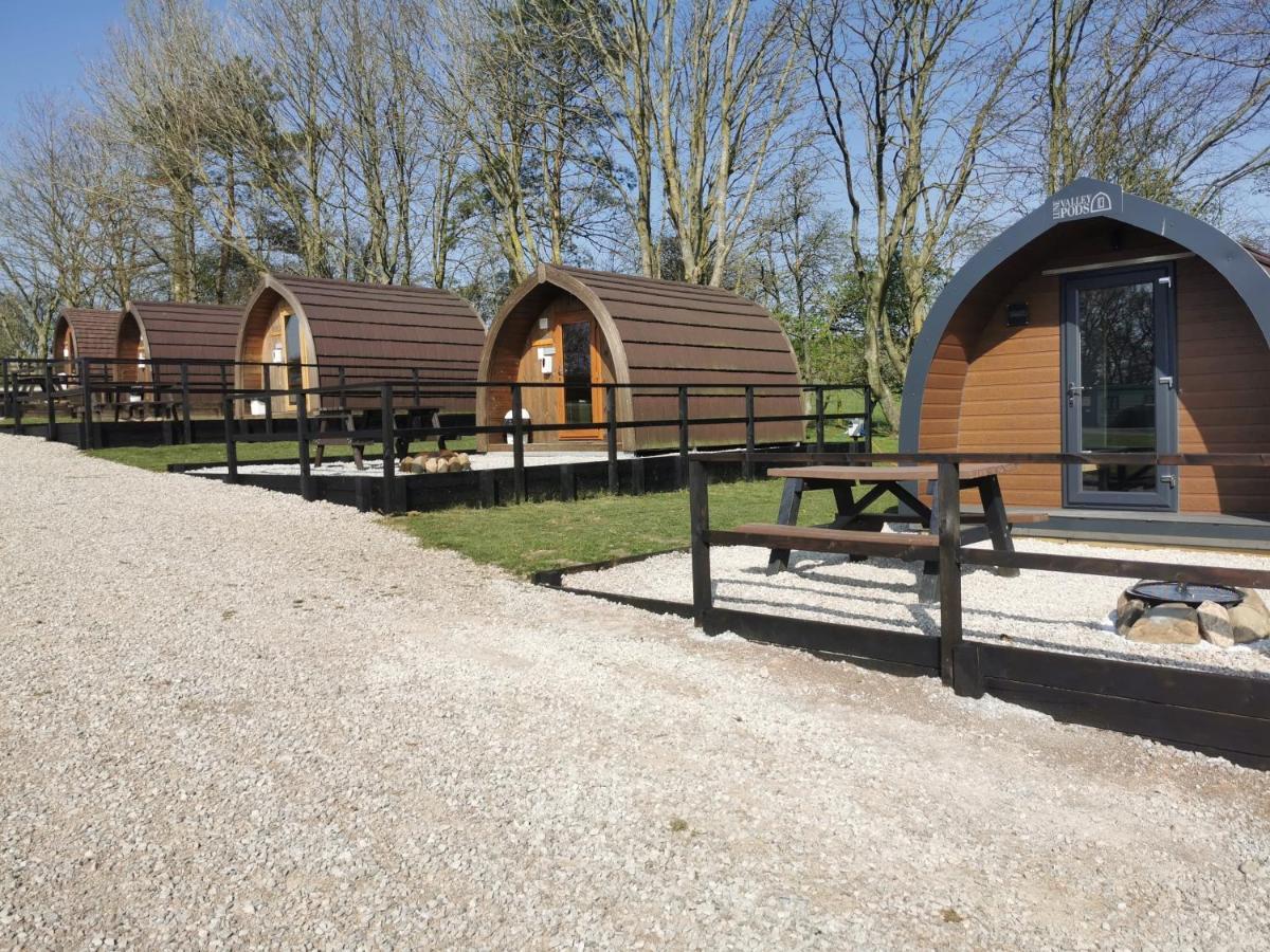 One-Bedroom Chalet
