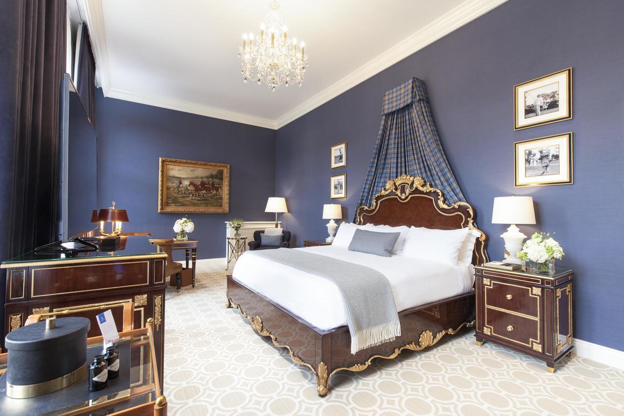 Superior King Room,961440838:JPEG