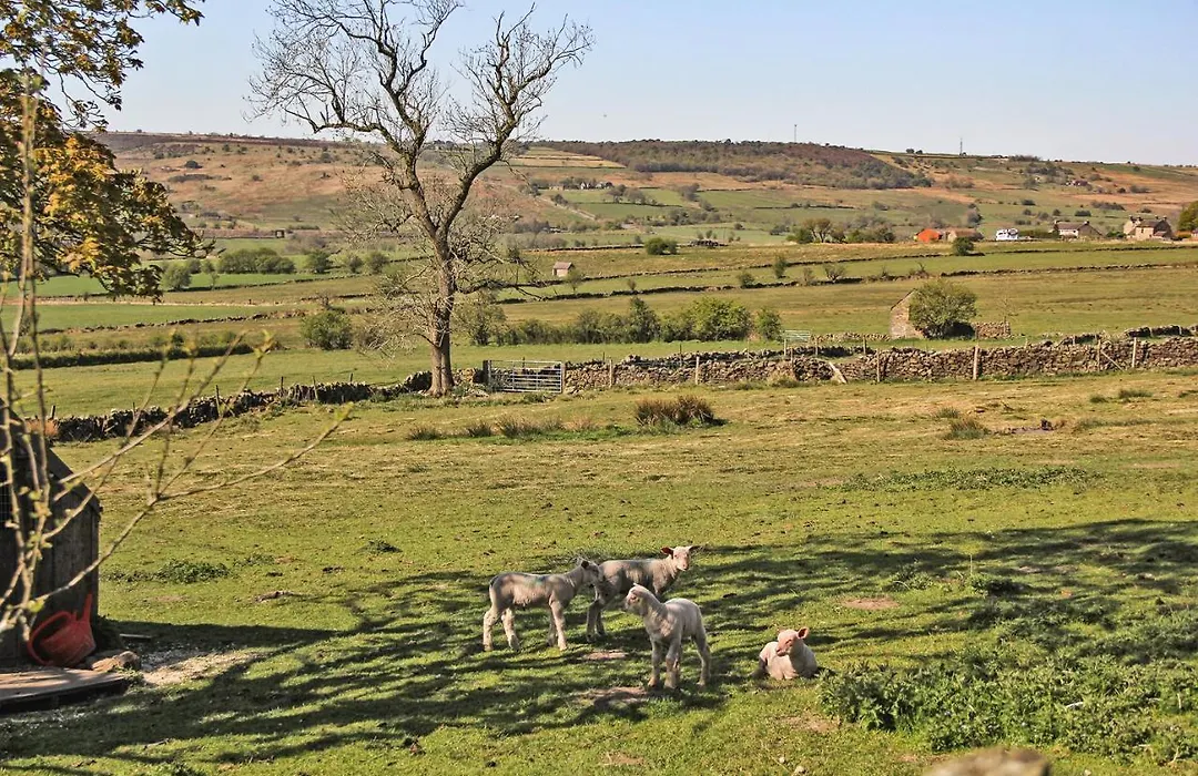 Moorland View Farm B&B-1