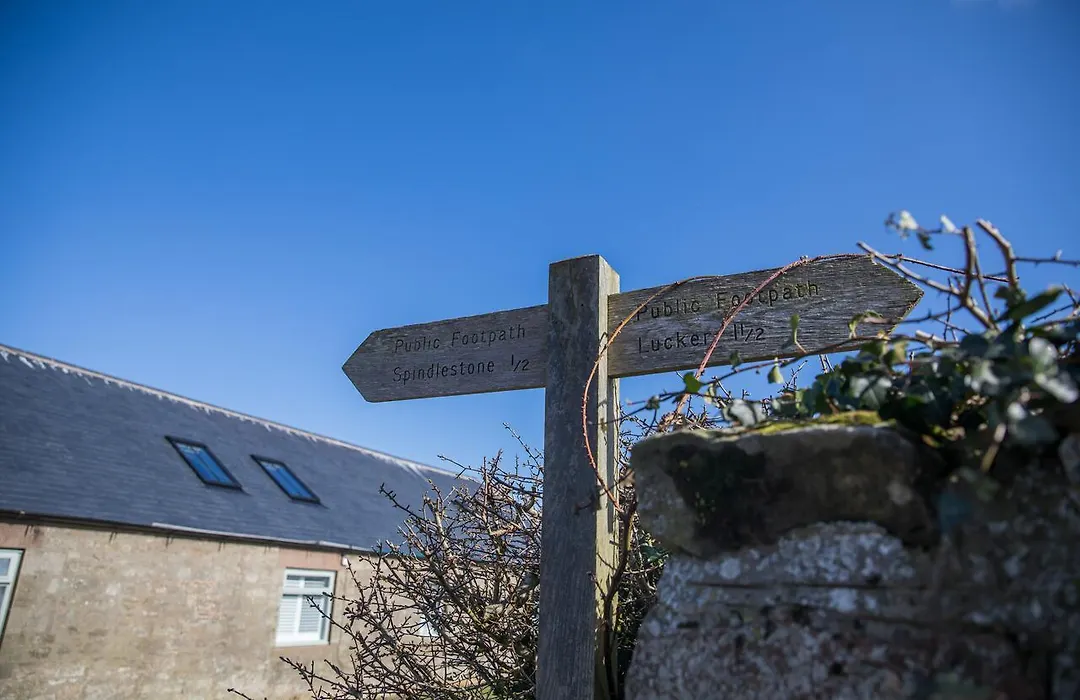 Host & Stay - Lavender Cottage-1