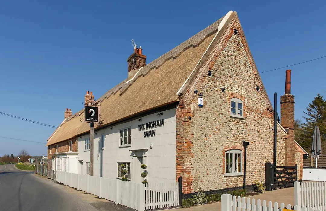 The Ingham Swan-1