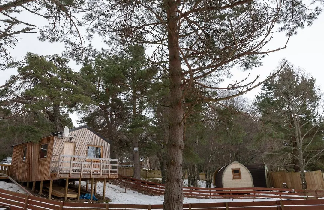 Pine Marten Bar Glenmore Treehouse-1