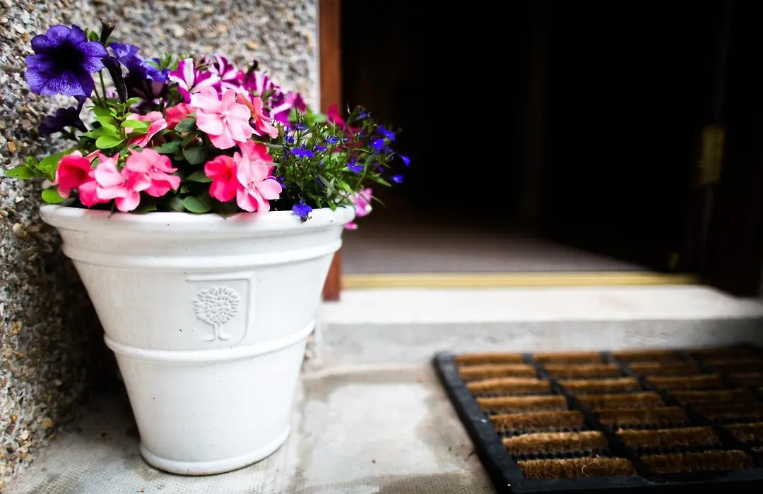 The Forge Bed & Breakfast-1