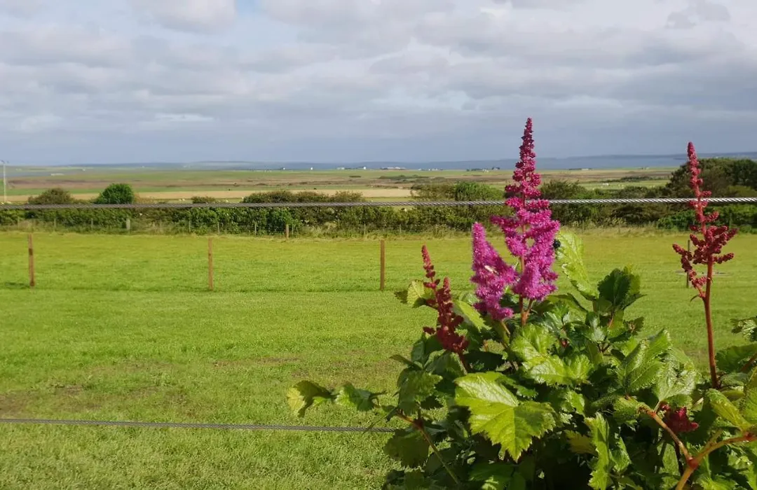 Lilly'S Lodges Orkney Hedgehog Lodge-1