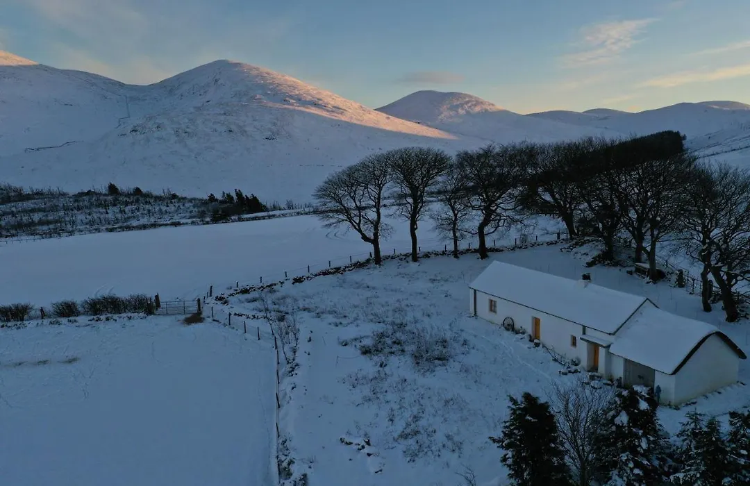 Thistle Thatch Cottage And Hot Tub - Mourne Mountains-1