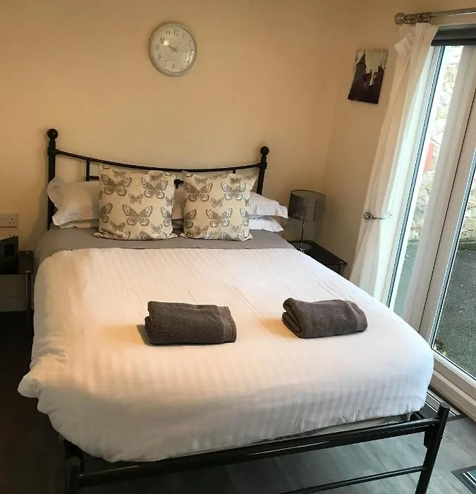Ty Mynydd Lodge Holiday Home-1
