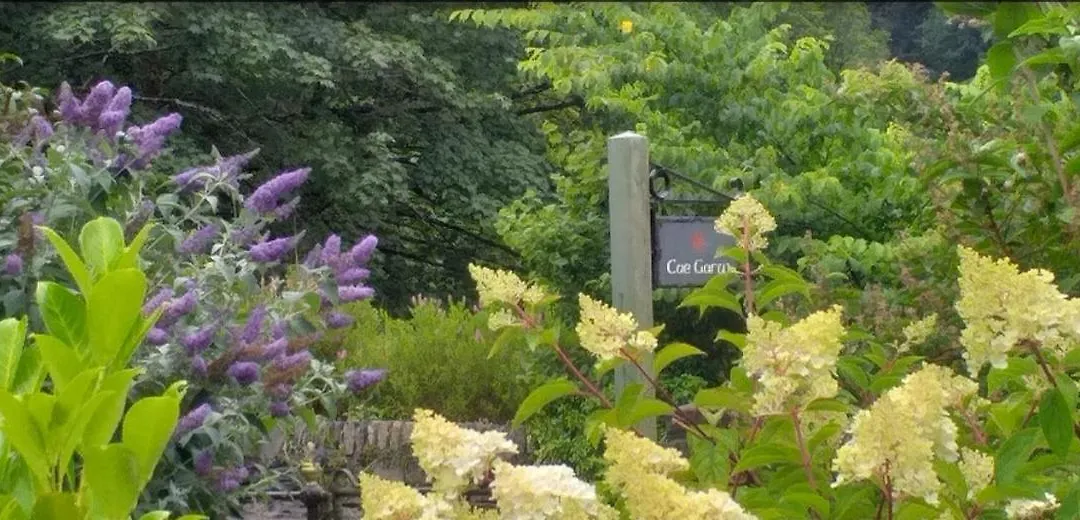 Cae Garw Guest House-1