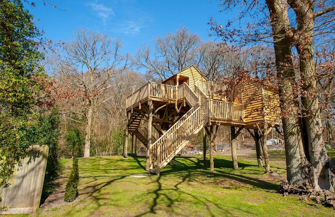 Oakside Tree Tops-1