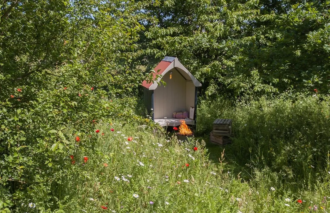Wellbeing Orchard-1