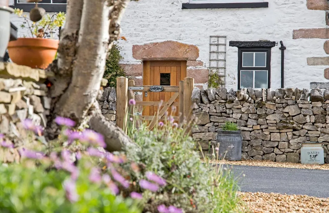 Hawthorn Farm Guest House-1