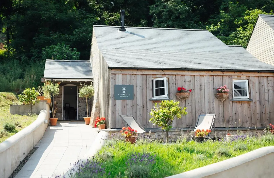 Trefloyne Manor-1