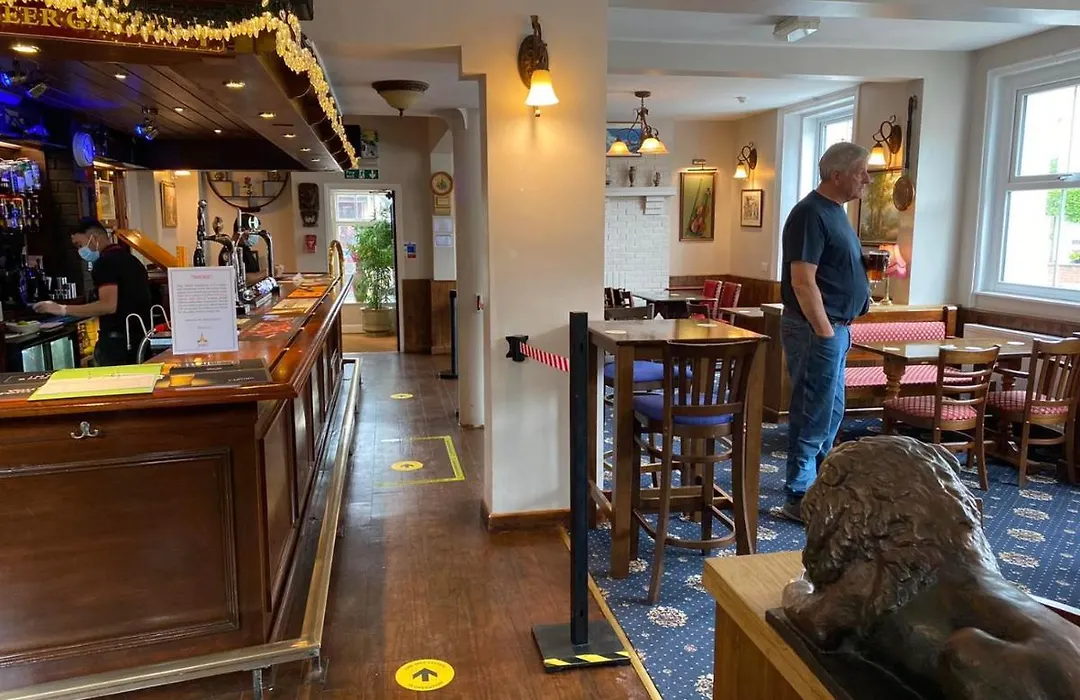 Lion And Fiddle-1