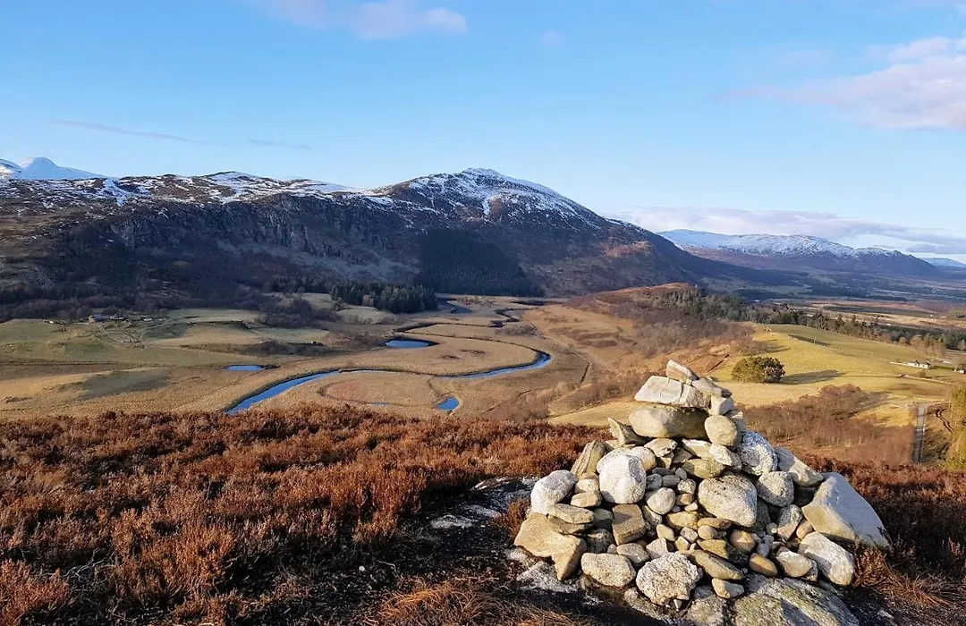 Wee Wilds-1