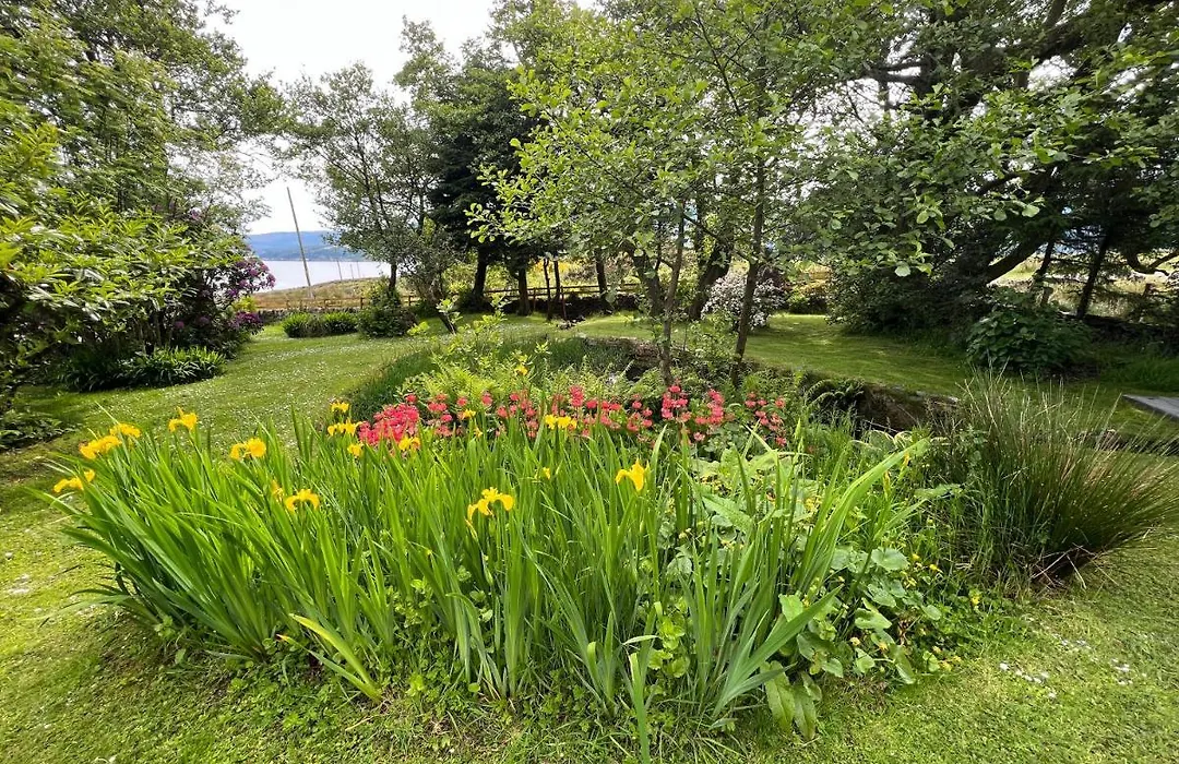 Knockderry Lodge -Private Luxury Pet-Friendly Accommodation In Scotland With Hot Tub-1