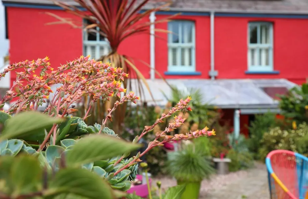 Western House-1