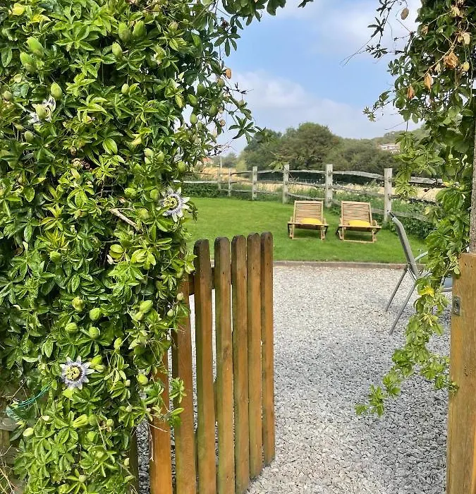 Holmdale Holiday Cottages-1