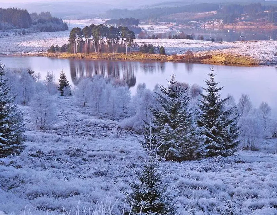 Grasmere Lodge - Bockenfield Country Park - Northumberland-1