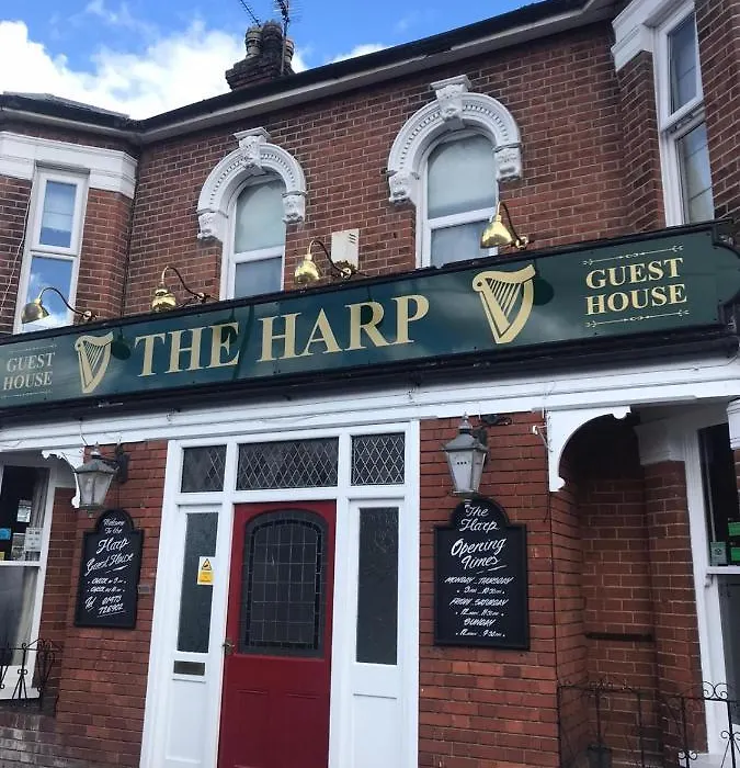 The Harp Freehouse And Guesthouse-1