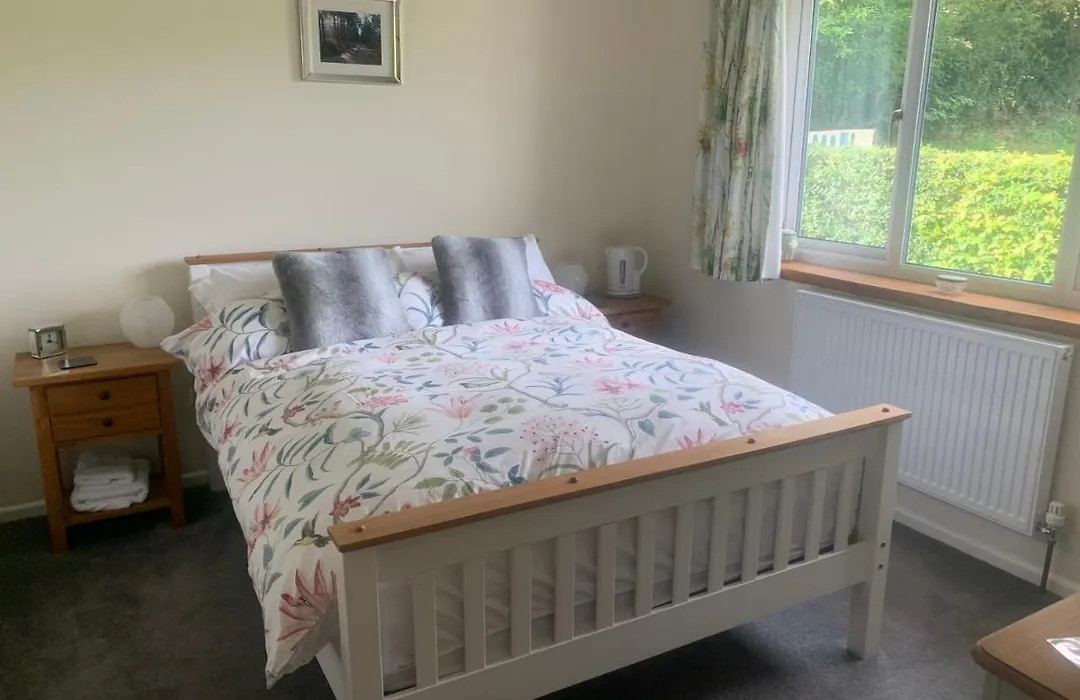 Wingmore-1