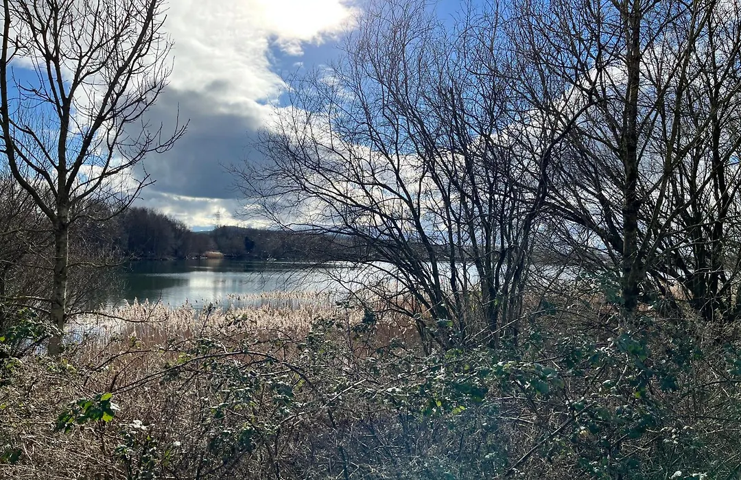 Coniston View 7-1