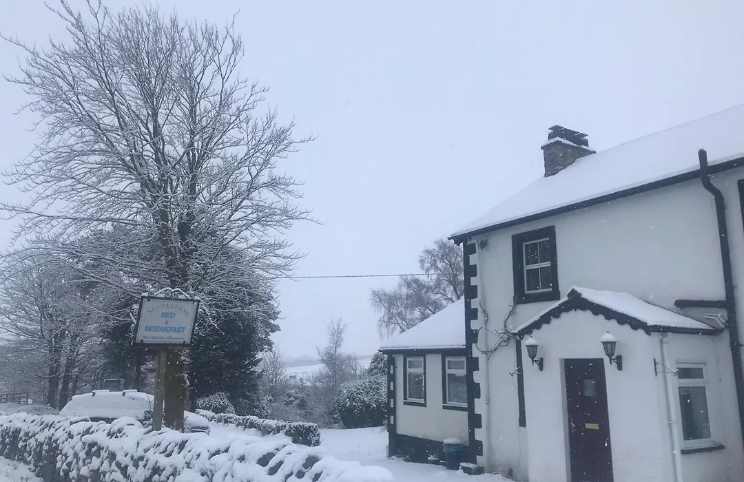 Netherdene Country House Bed & Breakfast-1