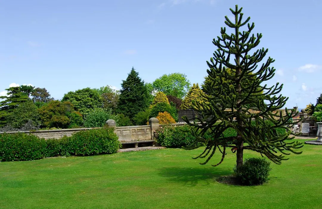 Dunsley Hall Country House Hotel-1