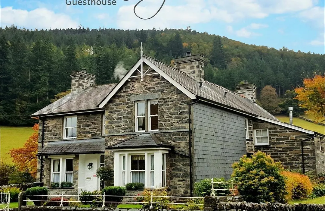 Bod Gwynedd Bed And Breakfast-1