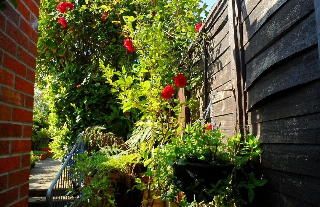 Galway Guest House-1