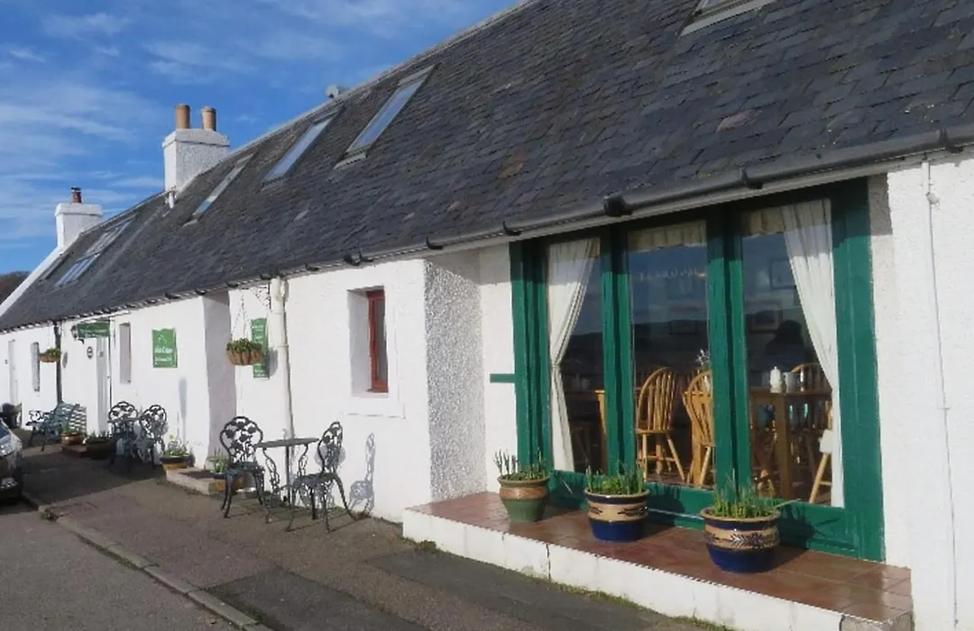 White Cottage B&B-1