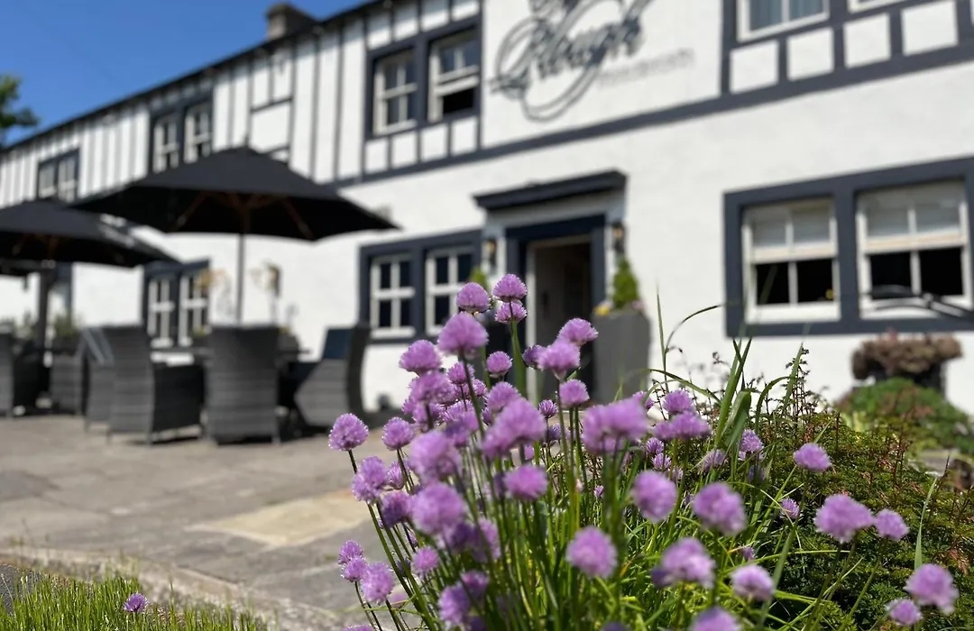 The Plough-1