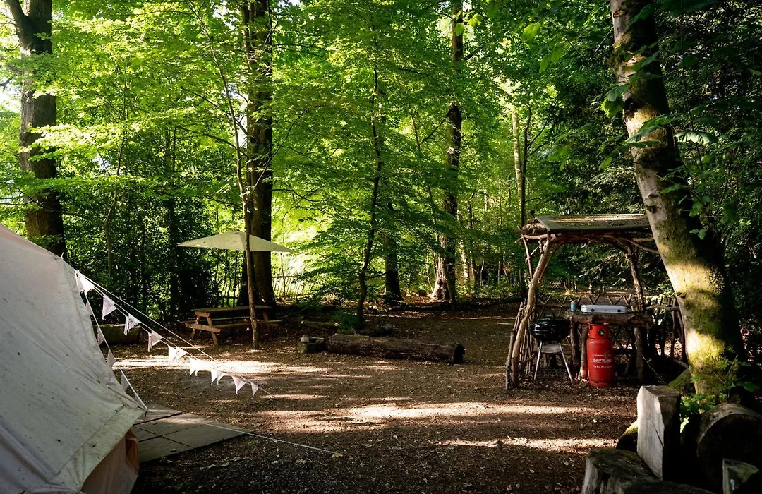 Hollington Park Glamping-1