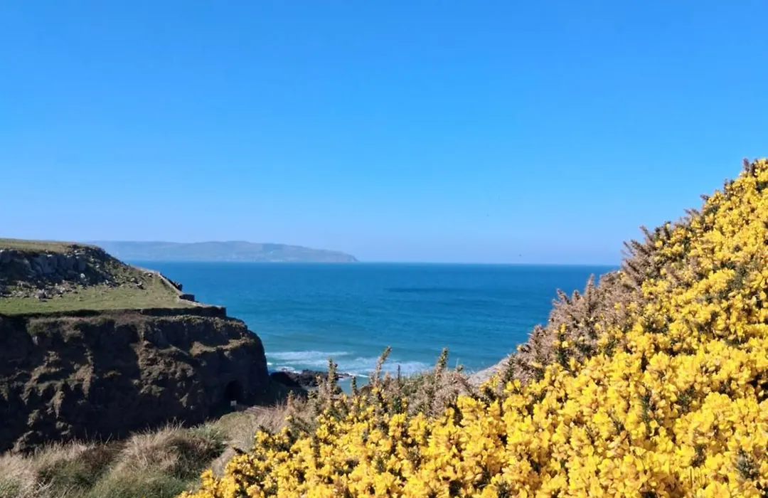 Cissy'S Cottage - Traditional Thatched Cottage, On The Causeway Coast-1