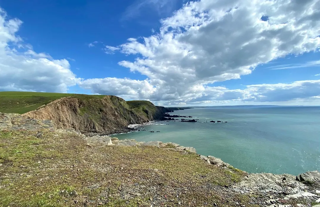 Petrock Holiday Cottages-1