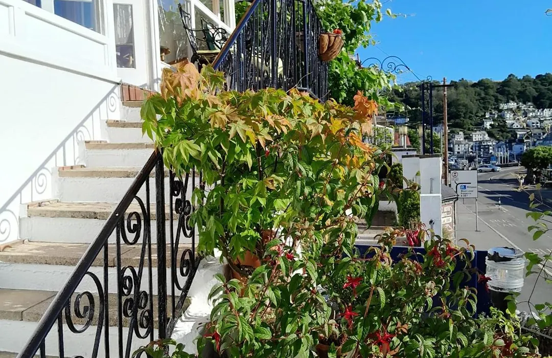 Dolphin Guest House-1