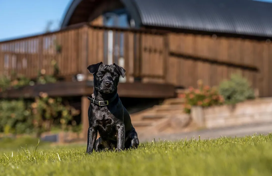 Luxury Glamping Pods - The Heft & The Hirsel-1