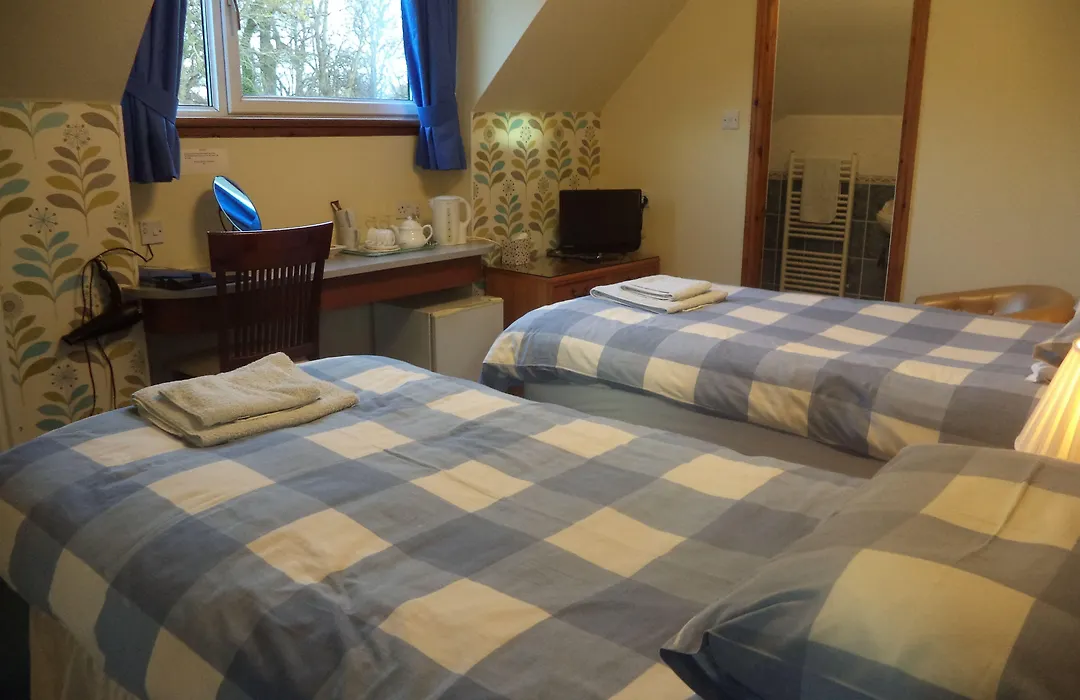 Acer Lodge Guest House-1