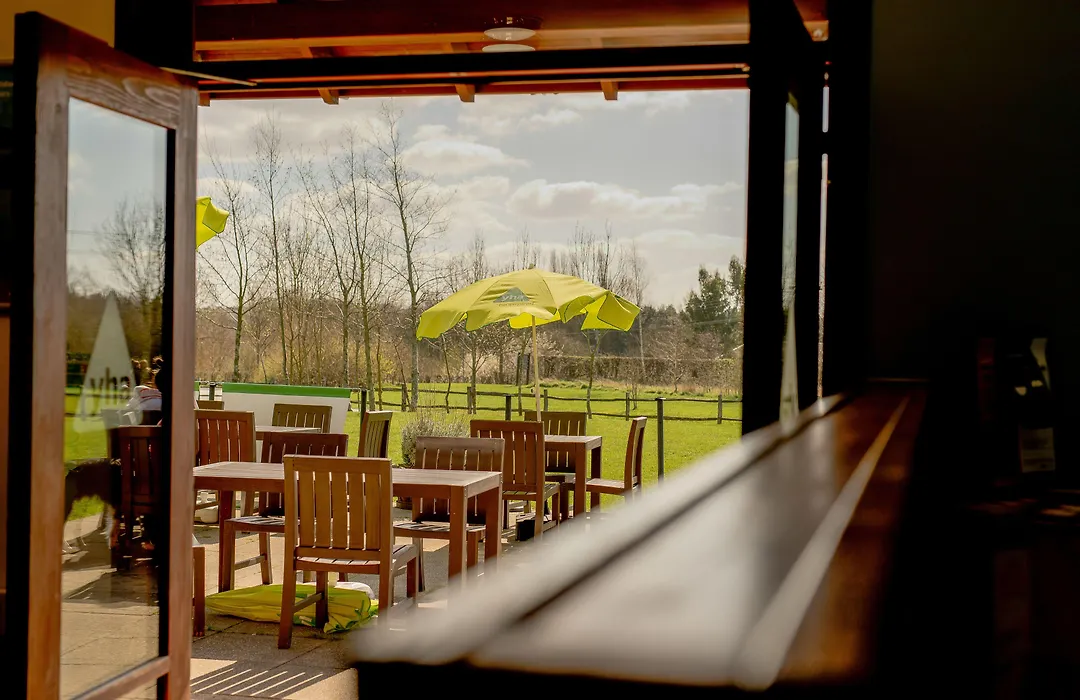 Yha National Forest-1