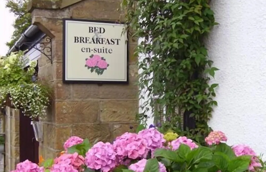 Thorpe Green House Vegetarian Bed & Breakfast-1