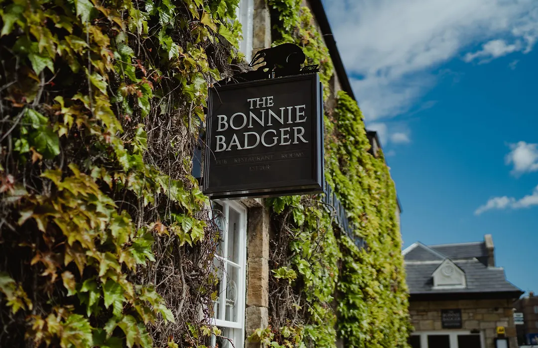 The Bonnie Badger-1