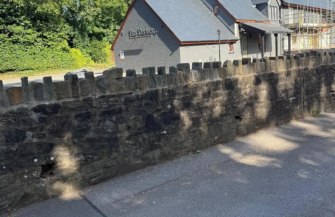Plas Derwen Hotel-1