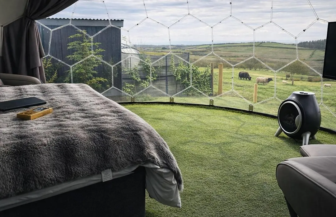 Glamping Domes-1