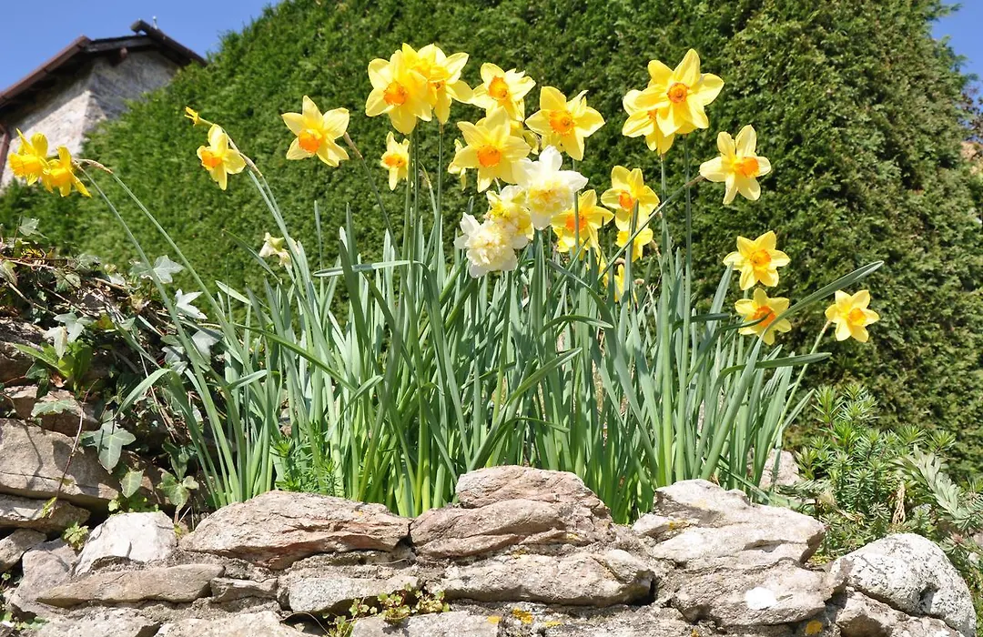 Bulleigh Barton Manor-1
