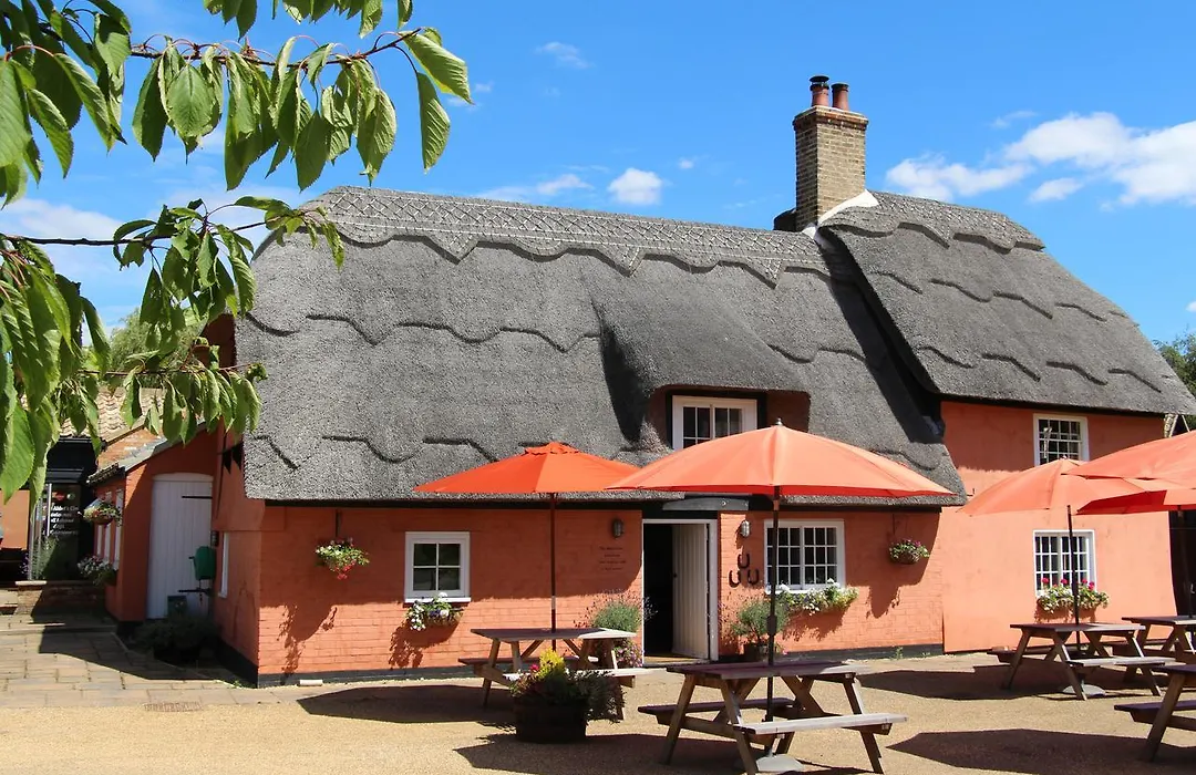 The Abbot'S Elm-1