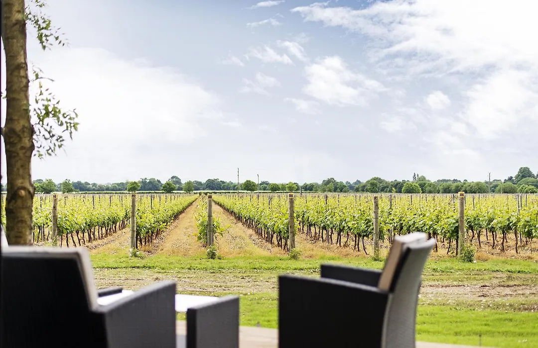 Tinwood Estate Vineyard Lodges-1