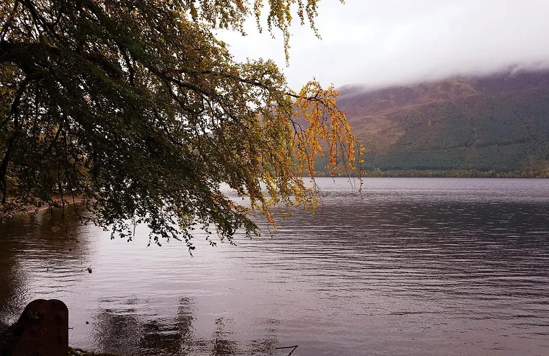 Invergloy Riverside Lodges-1