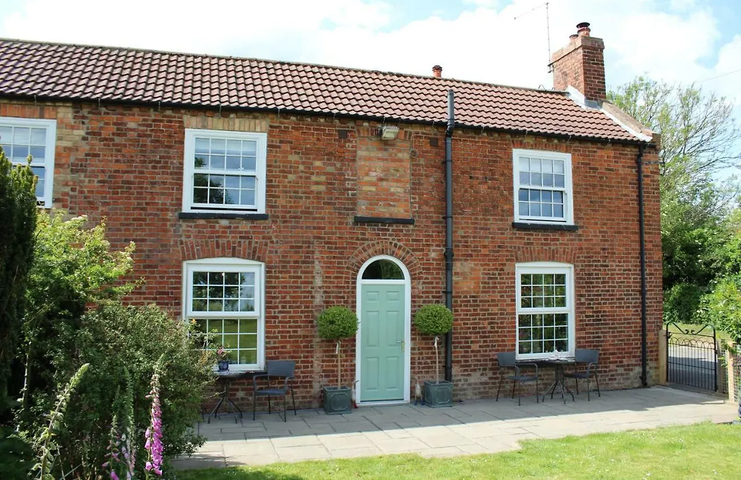 The Vine B & B-1