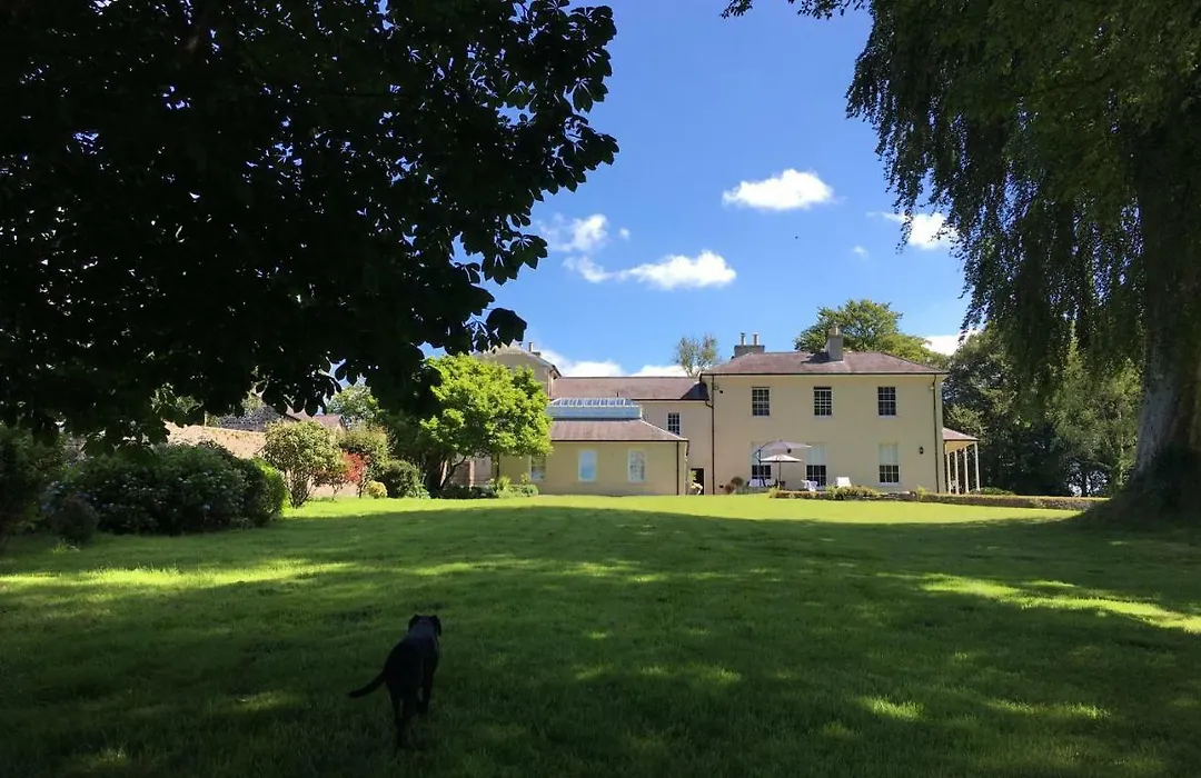 Llwynhelig Manor-1